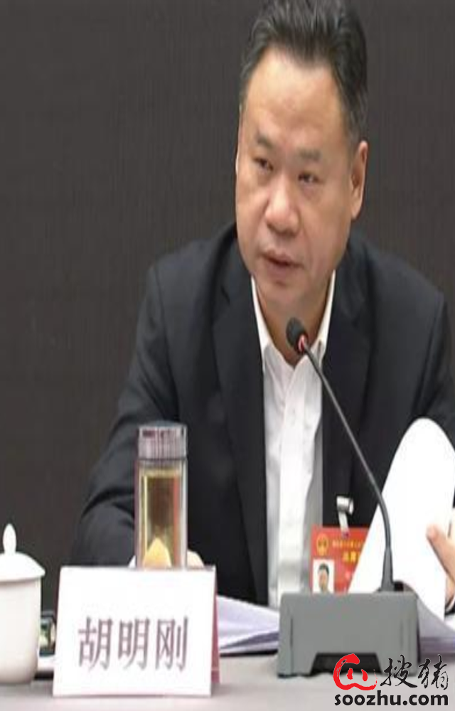 胡明刚代表:走好生猪绿色发展之路 实现生猪稳价保供