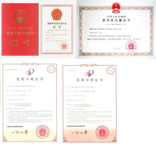 大北农猪圆环病毒2型灭活疫苗(DBN-SX07株