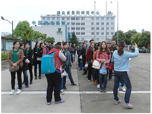 武汉回盛2014年度户外拓展训练圆满结束|回盛