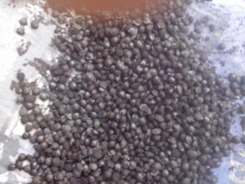 内蒙通辽出售纯羊粪|技术指导|郑州鼎商机械有