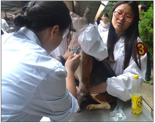 回盛杯内科技能大赛在南京农大举办|回盛股份