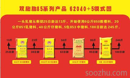 双胞胎打造质量升级版 隆重推出86系列产品