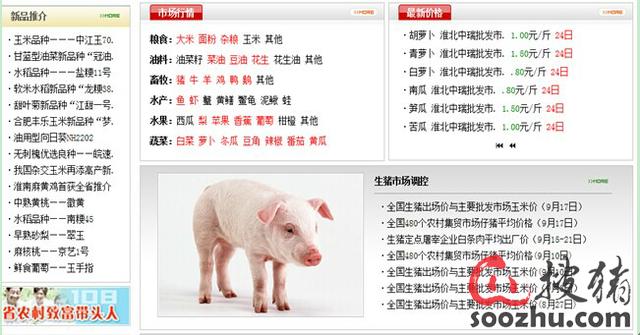 中国农业行业互联网分析报告