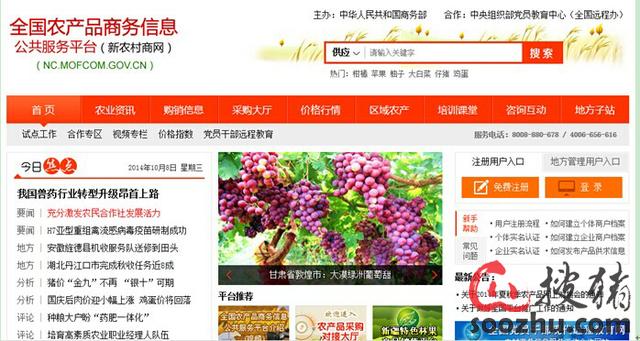 收入证明_农民收入分析报告(3)