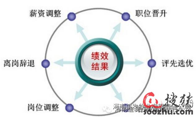 浅谈规模化猪场生产绩效管理|经营管理|搜猪网