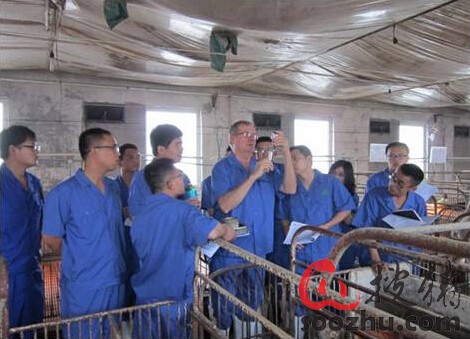 希望创云福达万家---新希望六和推出