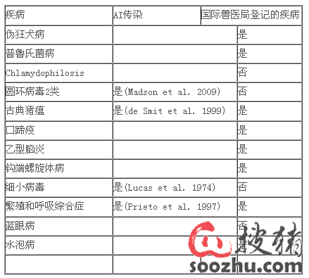 猪人工授精具有传播疾病的潜在风险|河南省诸