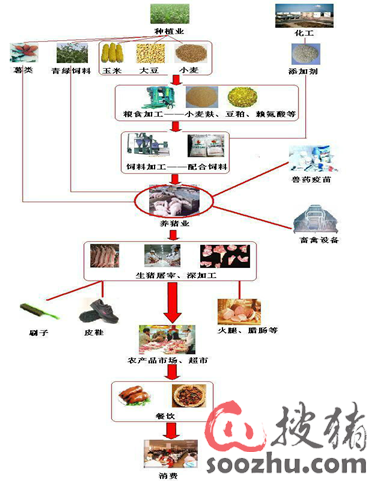 强力整合全产业链资源,助力中国养猪行业转型