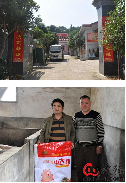 湖南长沙县安沙镇和平村范志良老板,现有存栏母猪40头,肉猪100多头.