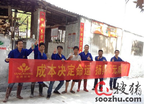 当杨主任(养猪人)遇上扬翔后不能拒绝的10大理