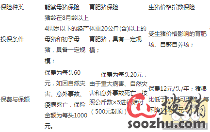 收入证明_收入指数保险(2)