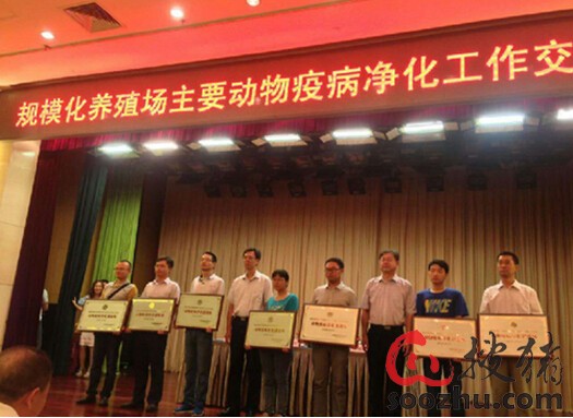 广西扬翔农牧有限责任公司喜获动物疫病净化创