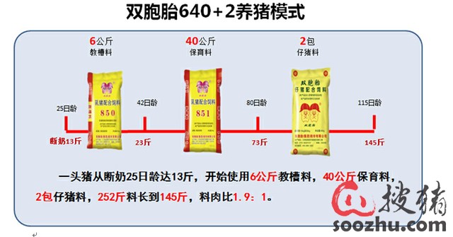 猪价飞起来了,小猪应该怎么养? |饲料营养|搜猪