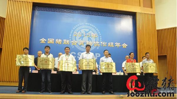 傲新老总(2)