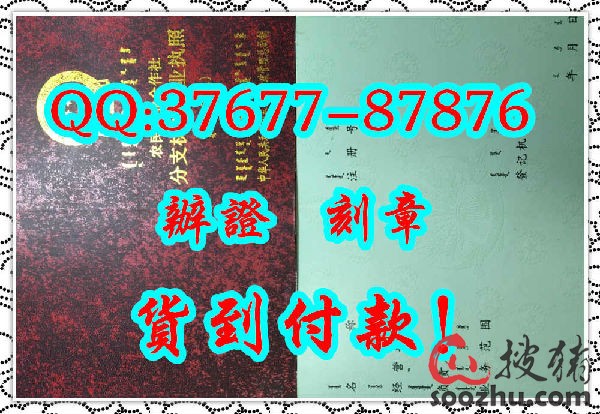 分支机构的营业执照为什么没有注册资本?-分公