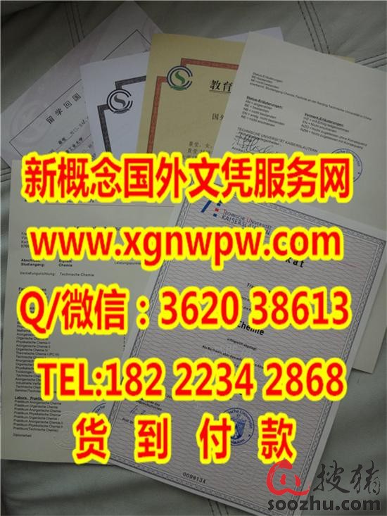 凯泽斯劳滕工业大学官网