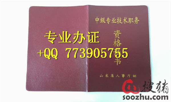 山东省济南市中级医师职称证书-搜猪论坛|搜猪