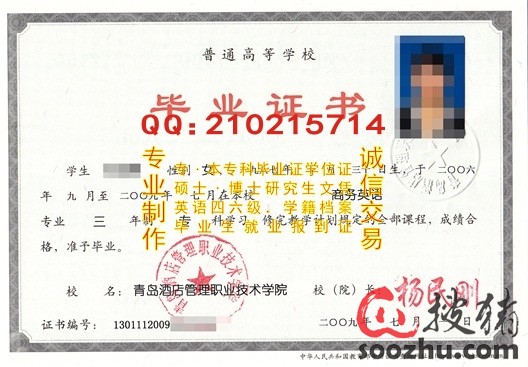 西安航空技术高等专科学校毕业证样本-搜猪论