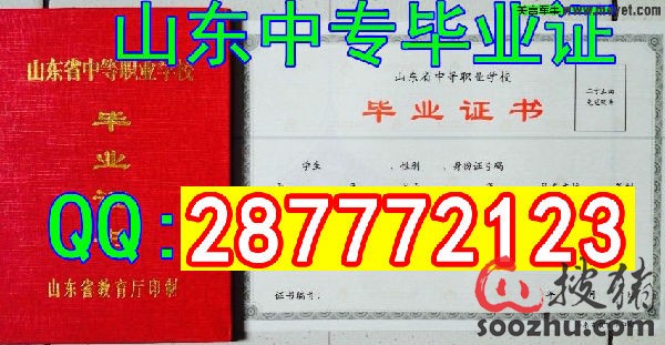 山东省中专毕业证-样本-搜猪论坛|搜猪网_中国