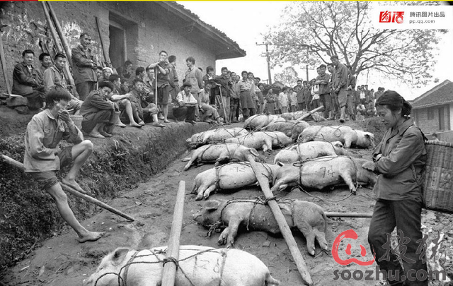 我国农民有多少人口_...被打工潮掏空 中国农民工30年迁徙史(3)