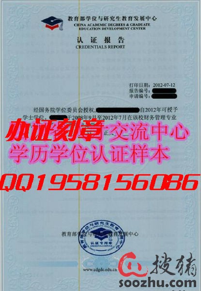 教育部学位与研究生教育发展中心认证报告样本