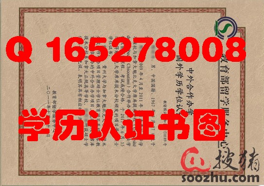 教育部学位与研究生教育发展中心认证报告-搜