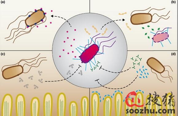 微生态制剂之十万个为什么