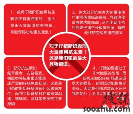 断奶乐肽--预防仔猪断奶拉稀腹泻 小猪拉肚子 