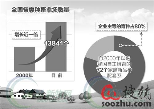 农业部:2025年主要畜种核心种源自给率要达7