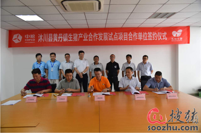 央企联姻养猪专业合作社 中粮饲料西南大区开