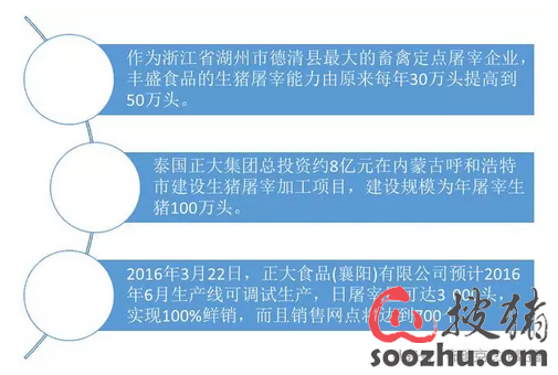 2016生猪屠宰行业大整顿 正大等企业抓住时机