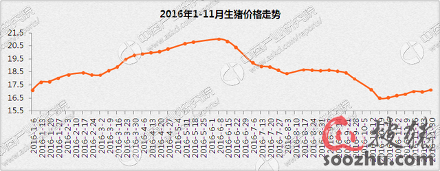 2017至2018年猪价走势专家预测分析|牧之骄(北