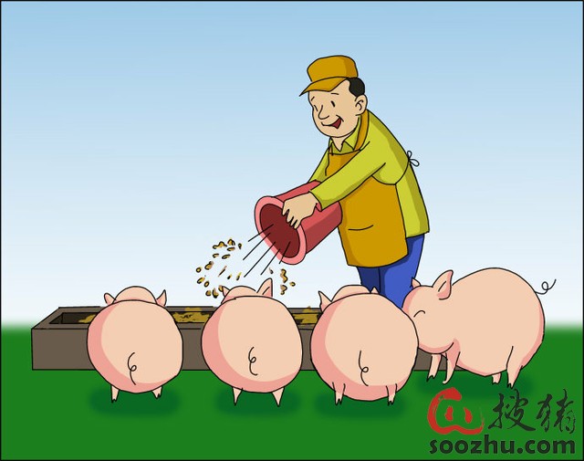 饲料发霉对猪的危害及五大因素和预防措施|牧