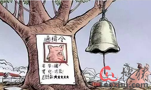 2017全国各地禁养区猪场倒计时|牧之骄(北京)