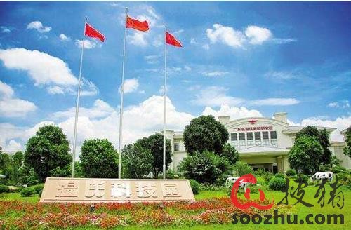 温氏养猪养鸡利润过百亿 让五百强公司脸红|