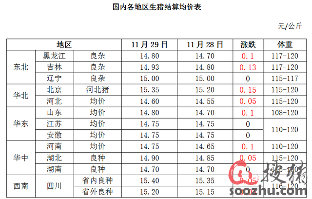 工程结算审计方案模板_月收入企业利润表结算