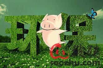 搜猪观察-养猪行业评述|新闻中心|搜猪网_中国