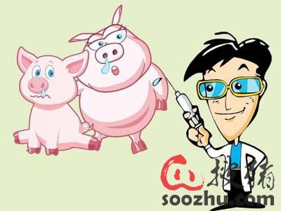 玉米出库消息施压市场,养猪人饲料采购成本或