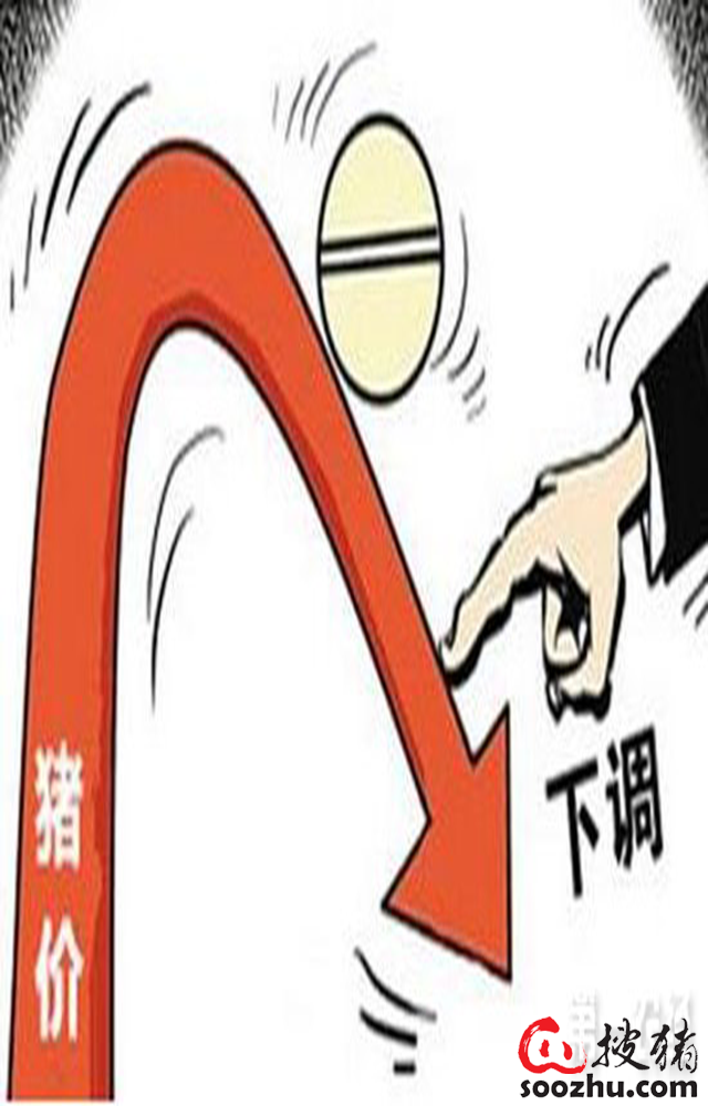 11月1日生猪日报:跌势由北向南蔓延扩大 北方多地单日下跌超1元/公斤 11月1日生猪日报:跌势由北向南蔓延扩大 北方多地单日下跌超1元/公斤