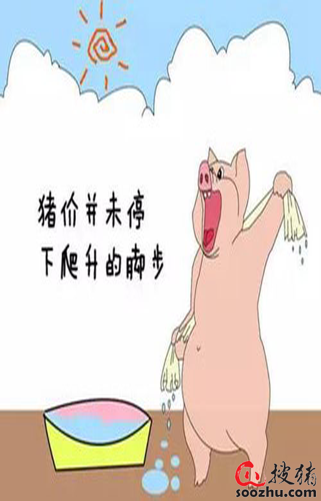 12月5日生猪日报:区域猪源供给紧张 南方多地涨势不减 12月5日生猪日报:区域猪源供给紧张 南方多地涨势不减