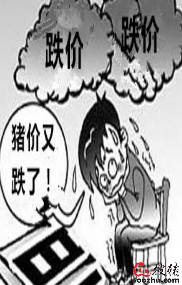 5月12日生猪日报：今日全国瘦肉型猪出栏均价29.44元/公斤