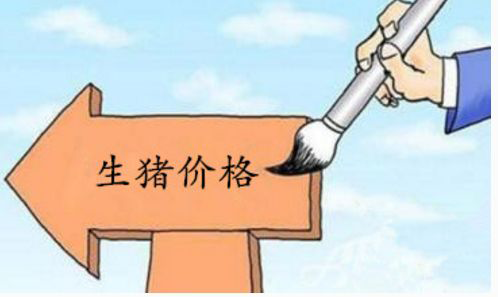 10月29日生猪日报:今日全国瘦肉型猪出栏均价29.31元/公斤 10月29日生猪日报:今日全国瘦肉型猪出栏均价29.31元/公斤