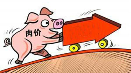 1月7日生猪日报：今日全国瘦肉型猪出栏均价36.88元/公斤