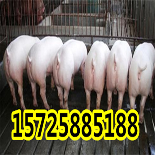 22_Xbz3T72.jpg