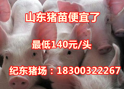 qq1.jpg
