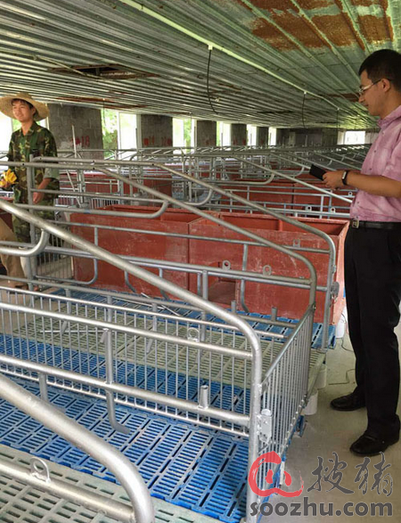 养猪事业部各分公司立项申请积极,养猪事业部四大业务线,广西扬翔农牧