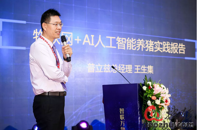 立兹智慧猪:第一家AI人工智能养猪落地实践者