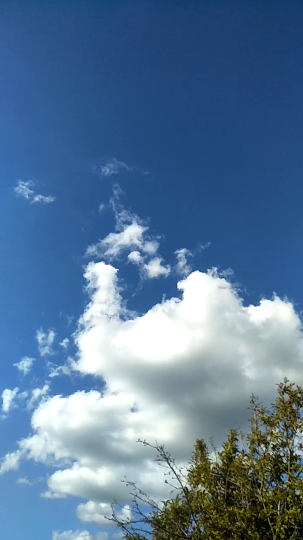 洁白的一大朵云多美