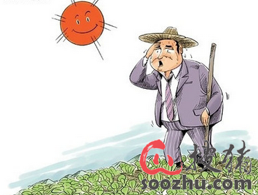 探讨中国农业出路:"一亩三分地"如何养活农民?