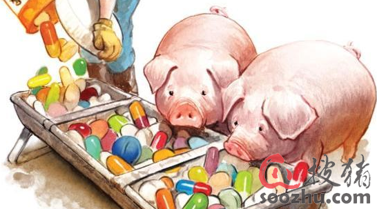 抗生素生长促进剂(agps)的有效替代品(下)